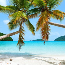 Load image into Gallery viewer, Virgin Islands