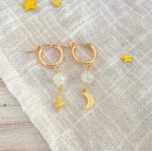 Load image into Gallery viewer, Pisces Gemstone Earrings