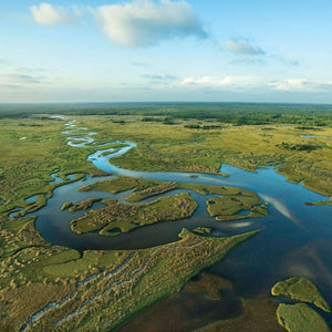 Everglades (Minimalist)