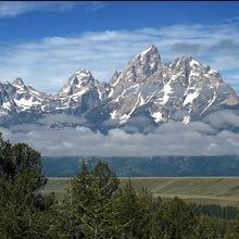 Load image into Gallery viewer, Grand Teton
